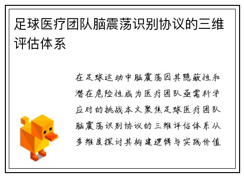 足球医疗团队脑震荡识别协议的三维评估体系